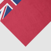 Ontario Flag Tissuepapier (Detail)