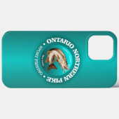 Ontario Pike Vist Case-Mate iPhone Case (Achterkant (horizontaal))