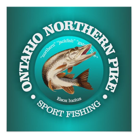 Ontario Pike Vist Perfect Poster (Voorkant)