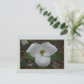 Ontario Trillium Beauty Briefkaart (Staand voorkant)