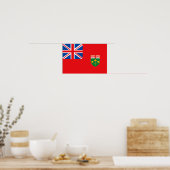 ONTARIO-vlag Poster (Keuken)