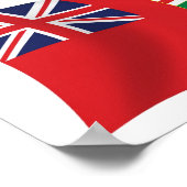 Ontario Vlag Poster Print (Hoek)