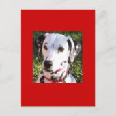 ontbering briefkaart (Voorkant)