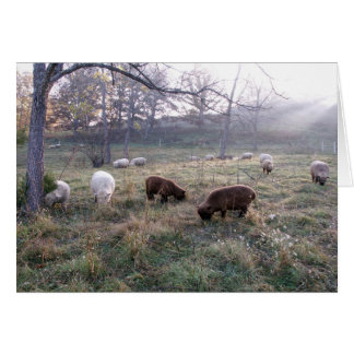 Ontbijt bij zonsopgang