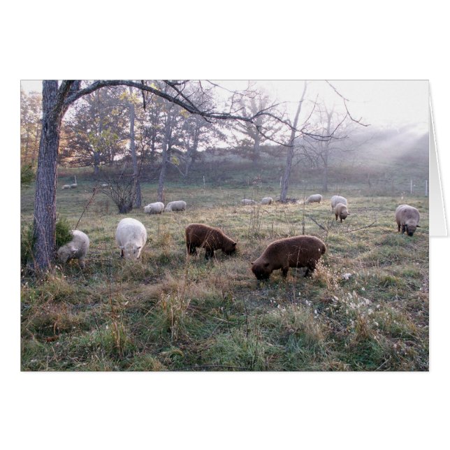 Ontbijt bij zonsopgang (Voorkant Horizontaal)