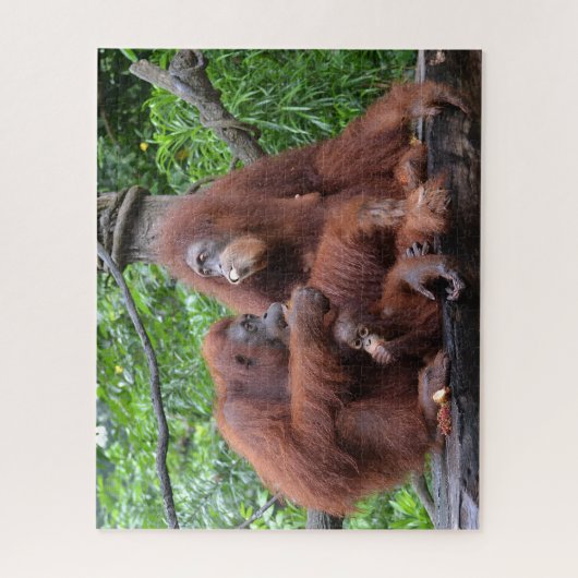 Ontbijt de dierentuin Orangutans Singapore Legpuzzel (Verticaal)