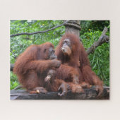 Ontbijt de dierentuin Orangutans Singapore Legpuzzel (Horizontaal)