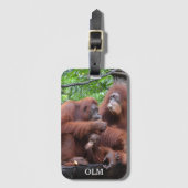 Ontbijt de Orangutans Singapore Zoo Bagagelabel (Voorkant (verticaal))