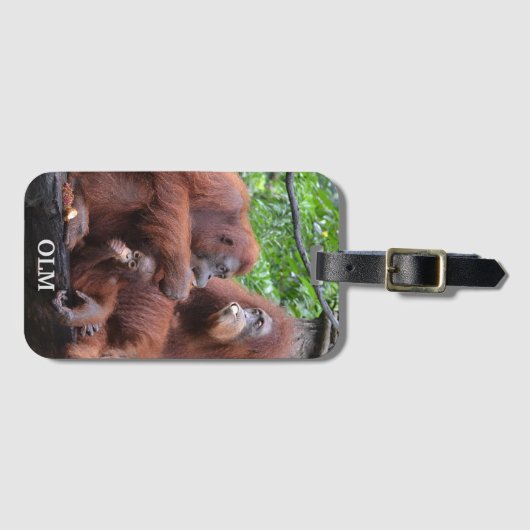 Ontbijt de Orangutans Singapore Zoo Bagagelabel (Voorkant (horizontaal))