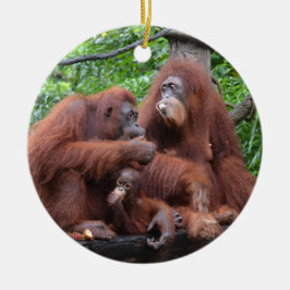 Ontbijt de Orangutans Singapore Zoo Keramisch Ornament