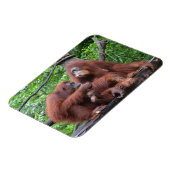 Ontbijt de Orangutans Singapore Zoo Magneet (Linkerzijde)
