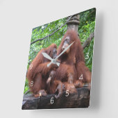 Ontbijt de Orangutans Singapore Zoo Vierkante Klok (Hoek)