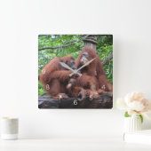 Ontbijt de Orangutans Singapore Zoo Vierkante Klok (Huis)