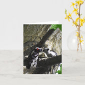 Ontbijt (Downy Woodpecker #1) - Blank Note Kaart (Gele Bloem)