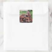Ontbijt het orangutans Singapore Zoo Square Vierkante Sticker (Tas)