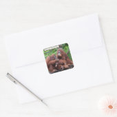 Ontbijt het orangutans Singapore Zoo Square Vierkante Sticker (Envelop)