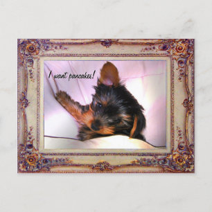 Ontbijt in bed Yorkie? Briefkaart