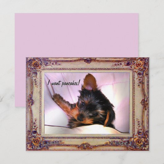 Ontbijt in bed Yorkie? Briefkaart (Voorkant / Achterkant)