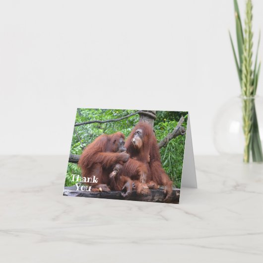 Ontbijt met de Orang Oetans Grappig Bedankkaart (Voorkant)