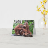 Ontbijt met de orangutans Happy Birthday Kaart (Gele Bloem)