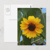 Ontbijt voor een bijen! briefkaart (Voorkant / Achterkant)