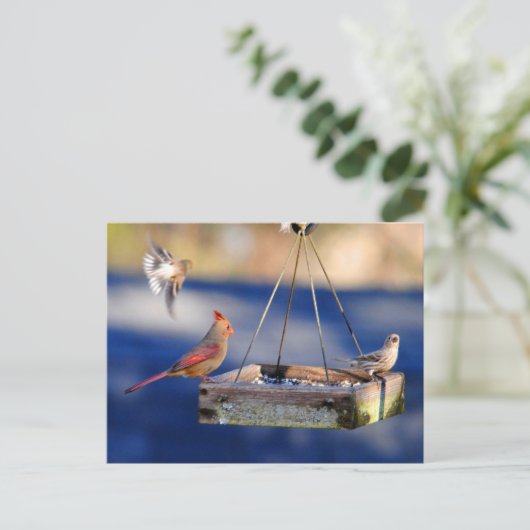 Ontbijttafel (vogels) Briefkaart (Staand voorkant)