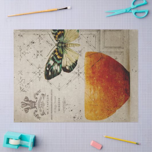  ontbinding van Butterfly en Bowl Tissuepapier (Craft)