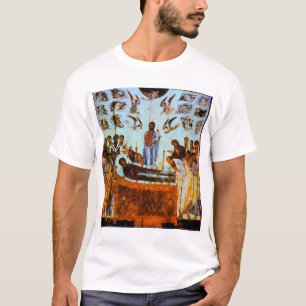 Ontbinding van de maagd t-shirt