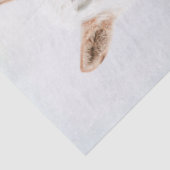 Ontbinding van Palomino Horse Fantasy Tissuepapier (Detail)