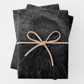 Ontbinding zonnebloem zwart en witte Florence Inpakpapier Vel (In situ)