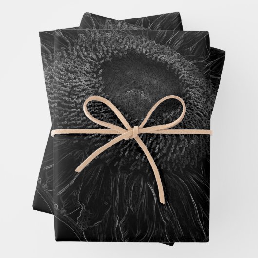 Ontbinding zonnebloem zwart en witte Florence Inpakpapier Vel (In situ)