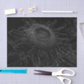 Ontbinding zonnebloem zwart en witte Florence Tissuepapier (Craft)