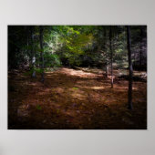Ontbossing in een donker bos poster (Voorkant)