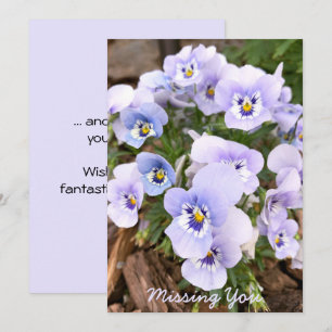 Ontbreekt Jou Pastel Paarse Viooltjes Foto Aangepa Kaart