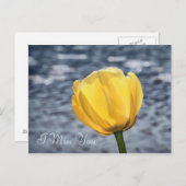 Ontbreekt u met gele Tulp-ventilator en water Briefkaart (Voorkant / Achterkant)