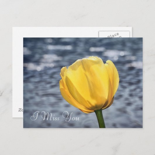 Ontbreekt u met gele Tulp-ventilator en water Briefkaart (Voorkant / Achterkant)