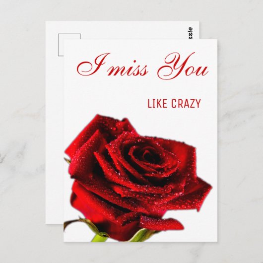 Ontbreekt u romantische rode roos briefkaart (Voorkant / Achterkant)