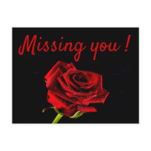 Ontbreekt u romantische rode rozenfoto