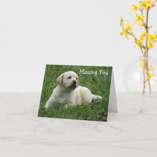 Ontbreekt u Yellow Labrador Retriever Puppy Kaart (Gele Bloem)