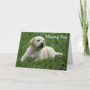 Ontbreekt u Yellow Labrador Retriever Puppy Kaart