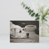 Ontbrekend - Briefkaart (Staand voorkant)