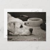 Ontbrekend - Briefkaart (Voorkant / Achterkant)