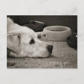 Ontbrekend - Briefkaart (Voorkant)