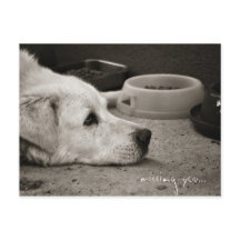 Ontbrekend - Briefkaart