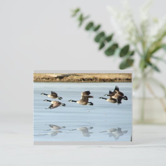 Ontbrekend Briefkaart (Staand voorkant)