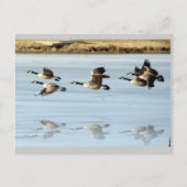 Ontbrekend Briefkaart (Voorkant)