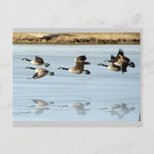 Ontbrekend Briefkaart (Voorkant)