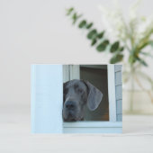 Ontbrekend Briefkaart (Staand voorkant)