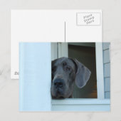 Ontbrekend Briefkaart (Voorkant / Achterkant)