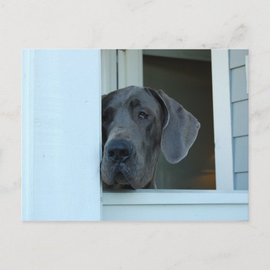 Ontbrekend Briefkaart (Voorkant)